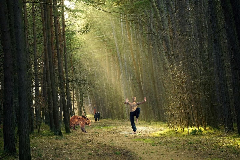 Kung Fu Discipline